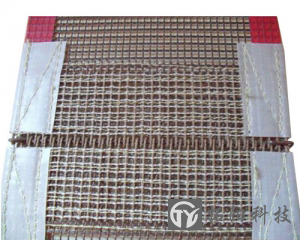  Tailor made Teflon mesh belt